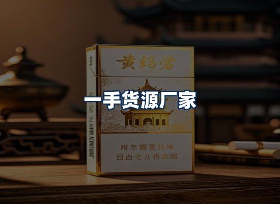 专业团队办公环境